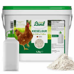 HÜHNER Land Kieselgur für Hühner 4,2kg INKLUSIVE Stäubeflasche - Reines Kieselgur Hühner Pulver, Kieselerde Pulver, Naturprodukt für Hühnerstall 4,2 kg Angebot bei HelloDeals