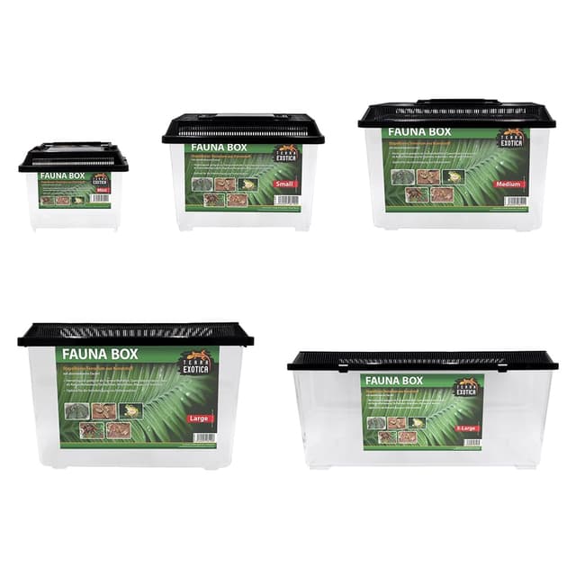 Terra Exotica Fauna Box in 5 Größen erhältlich (small 23 x 15 x 16,5 cm) Transportbox/Quarantäneterrarium für z.B. Reptilien, Amphibien, Kaninchen, Mäuse, Vögel - Terrarium