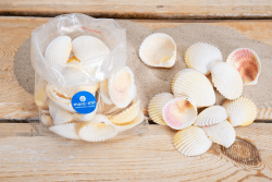 mare-me Große weiße Herzmuschel 250gr