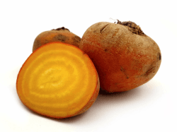 Frische Gelbe Bete | Gelbe Bete aus Deutschland (1000 g) Angebot bei HelloDeals