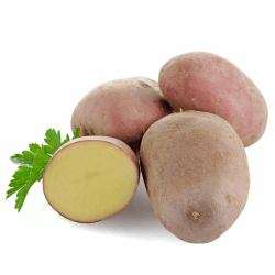 Kartoffeln | Sorte Laura | Rotschalige Speisekartoffeln aus der aktuellen Ernte vorw. festkochend/halbmehlig (2,50 KG) Angebot bei HelloDeals