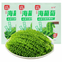 Sea Grapes (100 g x 3 Packungen) Grüner Kaviar Algen – Veganer Sushi Zutat, Knuspriger Algensnack für Salate & Hotpot – Mit Dip-Sauce –getrockneter Seetang, Umibudo, grüner Kaviar