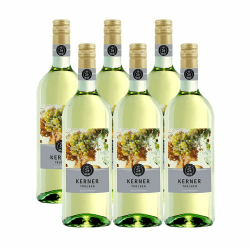 TEC-2000 - Motorspülung Diesel Benzin Engine Flush - Drosselklappenreiniger, Diesel Motorreiniger Benzin, Einfache Anwendung, Motorreiniger Motorwäsche Reiniger - Auto Motor Reiniger 375 ml