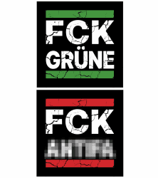 TAKONE FCK GRN Sticker & FCK Anti Sticker – 100 Stück Aufkleber 7,4 cm Crack-Design – Anti Grünen Aufkleber Gegen Linke, Kommunisten & Sozialisten Angebot bei HelloDeals