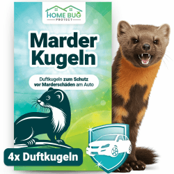 HomeBugProtect 2X Marderschreck Duftkugeln - Effektiver Marderschutz und Marderabwehr mit dem Marderschreck Auto für zuverlässige Mader Abwehr mit Marderkugeln fürs Auto Angebot bei HelloDeals