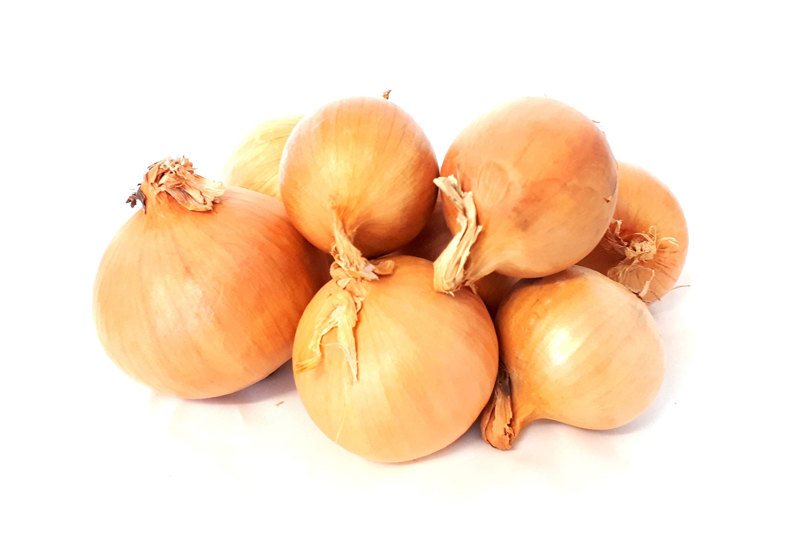 Frische Zwiebeln gelbe Speisezwiebel Haushaltszwiebel aus der Pfalz gelbe Zwiebel 1-25 KG (5) 5.0 Kilogramm Angebot bei HelloDeals