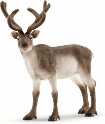 SCHLEICH WILD Life | Rentier 14837 | detailgetreue Tierfiguren | Zoo Spielzeug | Geschenk für Jungen und Mädchen | Deko für Geburtstag oder Weihnachten | Spielfigur ab 3 Jahren | 13 x 6 x 12 cm Angebot bei HelloDeals