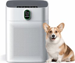 MORENTO Luftreiniger Allergiker mit HEPA Luftfilter gegen von Staub Pollen und Tierhaaren entfernen, CADR 300m³/h für 100㎡ Raucherzimmer,PM2.5 LED-Anzeige Air Purifier 24dB 1 Pack 2 Ersatzfilter HY4866 Angebot bei HelloDeals