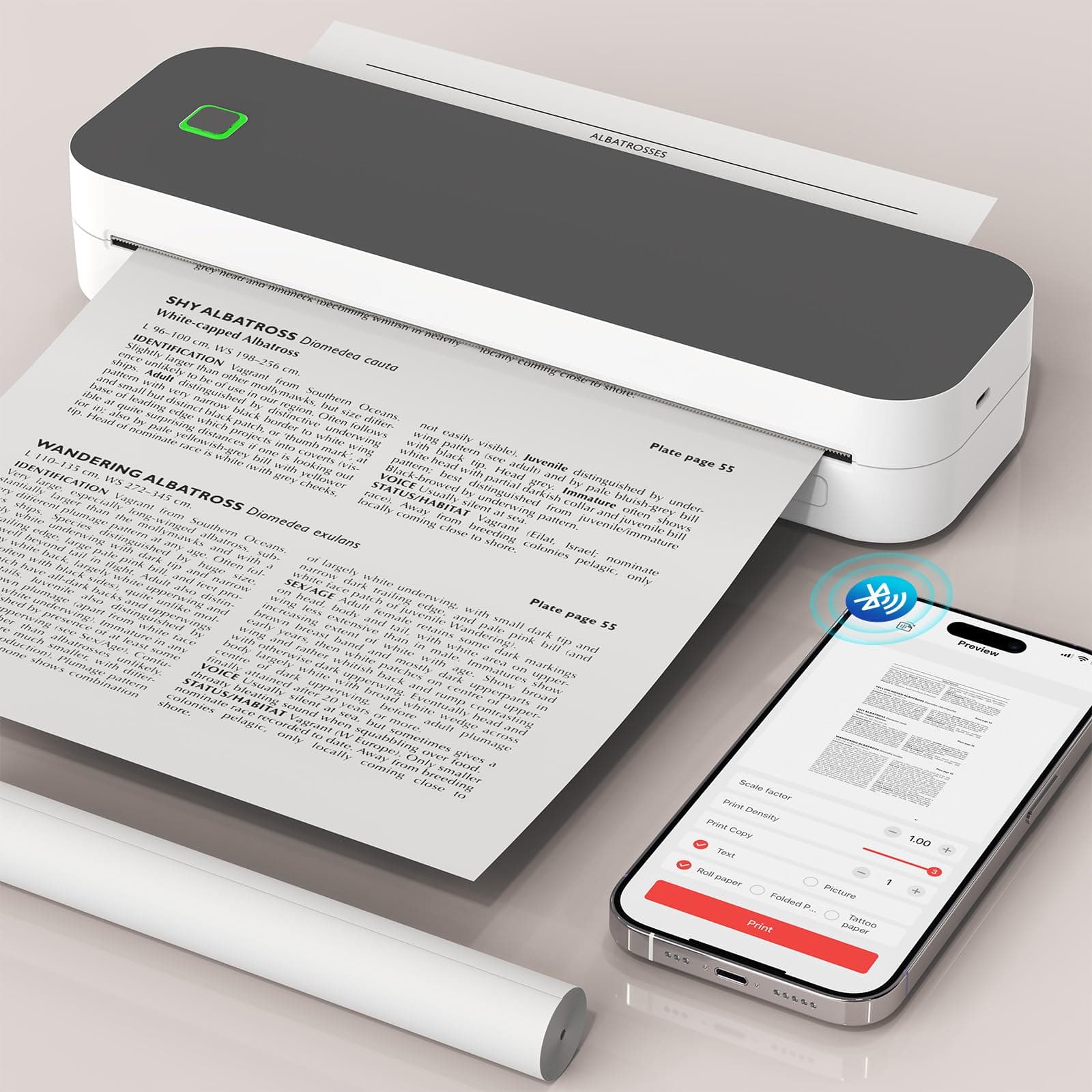 Bluetooth Thermodrucker A4, Portable Mobiler Drucker A4 für Unterwegs, Inkless Printer Kompatibel mit Android & IOS und Laptop, Tragbarer Drucker für Zuhause, Büro, Tattoo Stencil Dunkelgrau Angebot bei HelloDeals