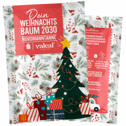 Weihnachtsbaum 2030 - Nordmanntanne Pflanzen Samen zum Weihnachtsbaum pflanzen ideal als Geschenk und Wichtelgeschenk Angebot bei HelloDeals