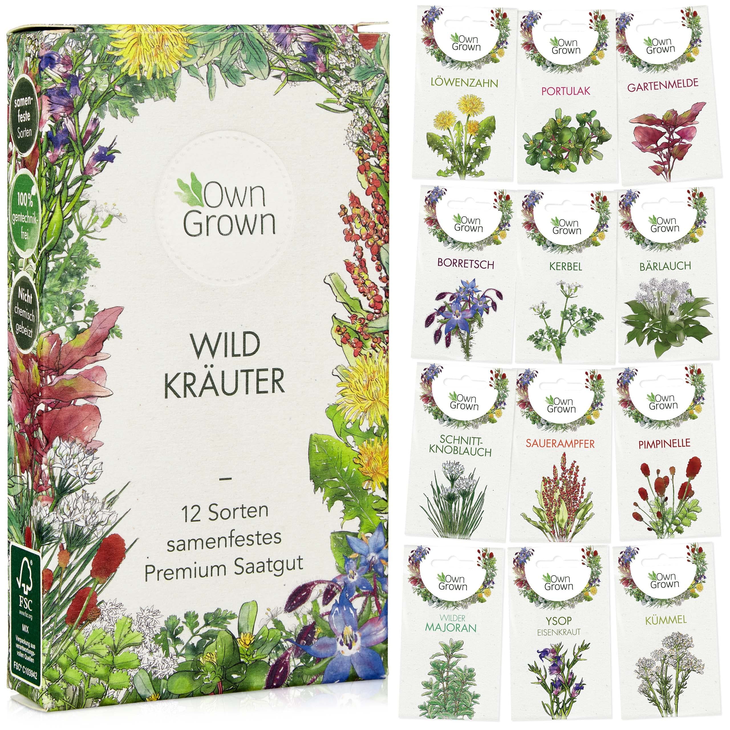 Wildkräuter Samen Set: 12 Sorten Wildkräuter Saatgut für Balkon u. Garten – Bärlauch Samen, Portulak Samen, Schnittknoblauch Samen, Sauerampfer Samen, Löwenzahn Samen – Kräuter Samen, OwnGrown Kräuter Angebot bei HelloDeals