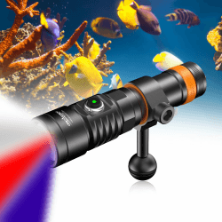ORCATORCH D710V MK2 Tauchlampe, 2300 Lumen Tauchen Taschenlampe mit Weiß+UV+Rot für Video Fotografie, IP68 wasserdichte LED Tauchen Licht für Unterwasser 150M Nachttauchgänge, Wracktauchen, Camping Angebot bei HelloDeals
