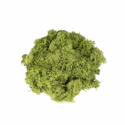 Ideen mit Herz Islandmoos | grün | Deko-Moos | Naturprodukt | 100 g Angebot bei HelloDeals