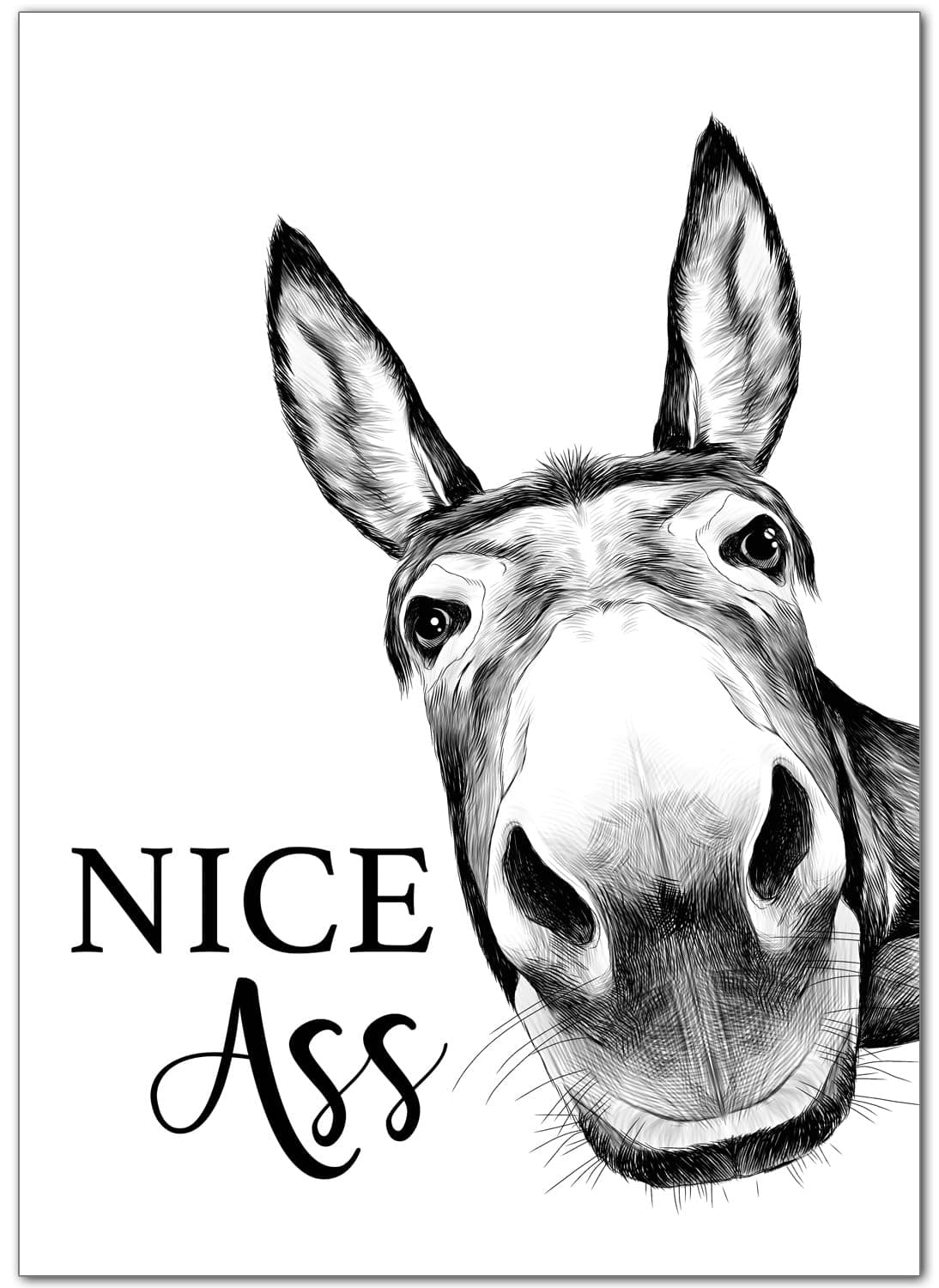 artpin® Poster Badezimmer Deko Bilder Bad schwarz-weiß Spruch | WC Deko DIN A4 Wandbilder Esel B11 Angebot bei HelloDeals