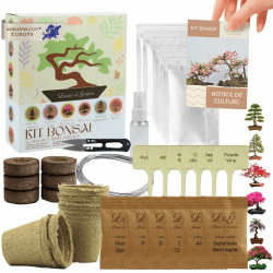 L&G Bonsai Starter Kit – Bonsai Anzuchtset mit 6 wunderschönen, 100% natürlichen Samen – Komplettes Bonsai Zucht Set mit Zubehör – Pflanzset für Anfänger – Bonsai Samen Set, Bonsai Aufzucht Set, Bonsa Angebot bei HelloDeals