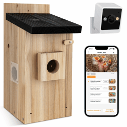 RAINBEAN Bird House with Camera,Nistkasten mit Kamera, 4 Millionen Pixel Outdoor-Vogelhaus-Kamera, Echtzeitbeobachtung des Nestbaus und der Brut von Vögeln, AI-Erkennung des Vogelverhaltens, DIY Angebot bei HelloDeals