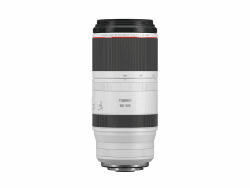 Canon Objektiv RF 100-500mm F4.5-7.1L is USM (Supertele-Objektiv für EOS R Serie, 5-Stufen optischer Bildstabilisator, Dual Nano USM Autofokusantrieb, 1.525g, kompakt), hellgrau Single Angebot bei HelloDeals