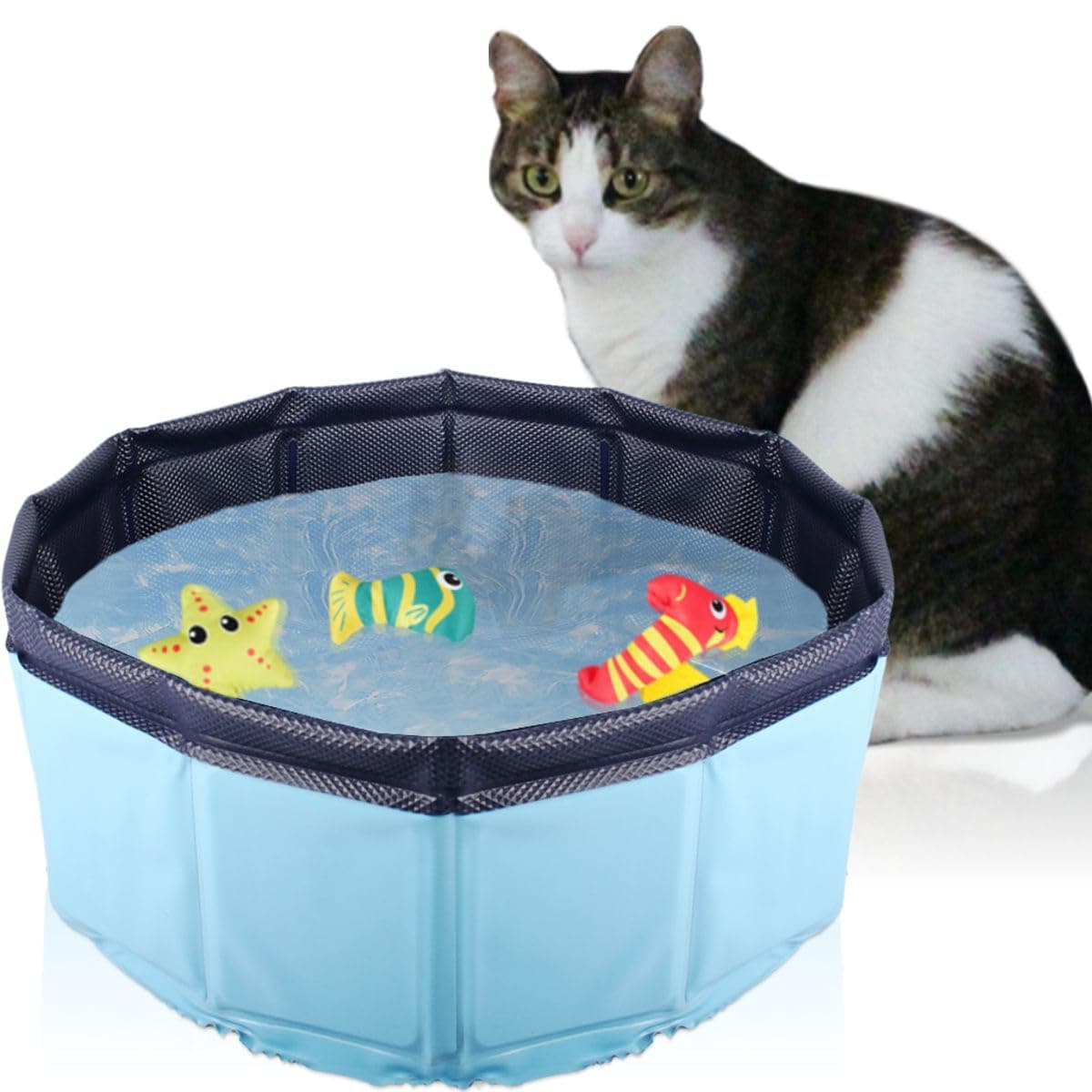 Stimo Faltbarer Katzen-Pool mit 3 Spielzeug Tierchen für Katzen 30 x 10 cm Katzenpool Angebot bei HelloDeals