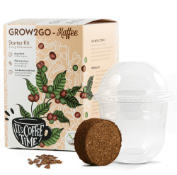 GROW2GO Dein eigener Zwergkaffee Strauch zum selber Pflanzen - Immergrüner Kaffeestrauch mit wunderschönen Blüten für die Anzucht von eigenen Kaffeebohnen (Anzuchtset) Angebot bei HelloDeals