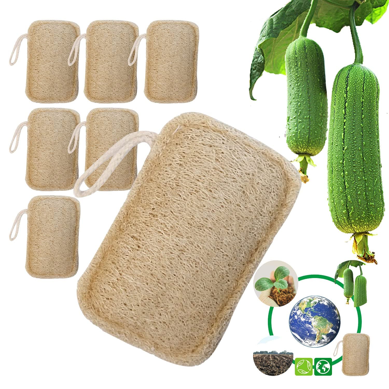 6 Stück Bio Luffaschwamm, 100% Biologisch, Abbaubar und Kompostierbar, Natürlicher Umweltschutz für Küche, Bad, Camping Angebot bei HelloDeals