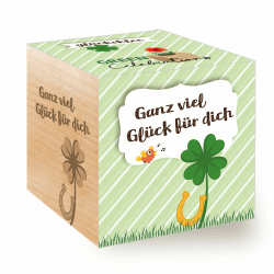 Feel Green 296688 Celebrations Ecocube, Glücksklee, Holzwürfel Mit Lasergravur «Ganz Viel Glück Für Dich», Nachhaltige Geschenkidee, Anzuchtset, Made in Austria, natural Single Angebot bei HelloDeals