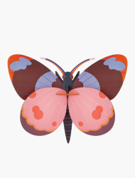 Bellissima Butterfly Angebot bei HelloDeals