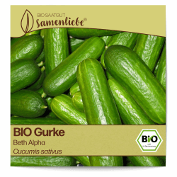 Samenliebe BIO Gurken Samen alte Sorte Beth Alpha Salatgurke Snackgurke grün 10 Samen samenfestes Gemüse Saatgut für Gewächshaus Freiland und Balkon BIO Gemüsesamen Angebot bei HelloDeals