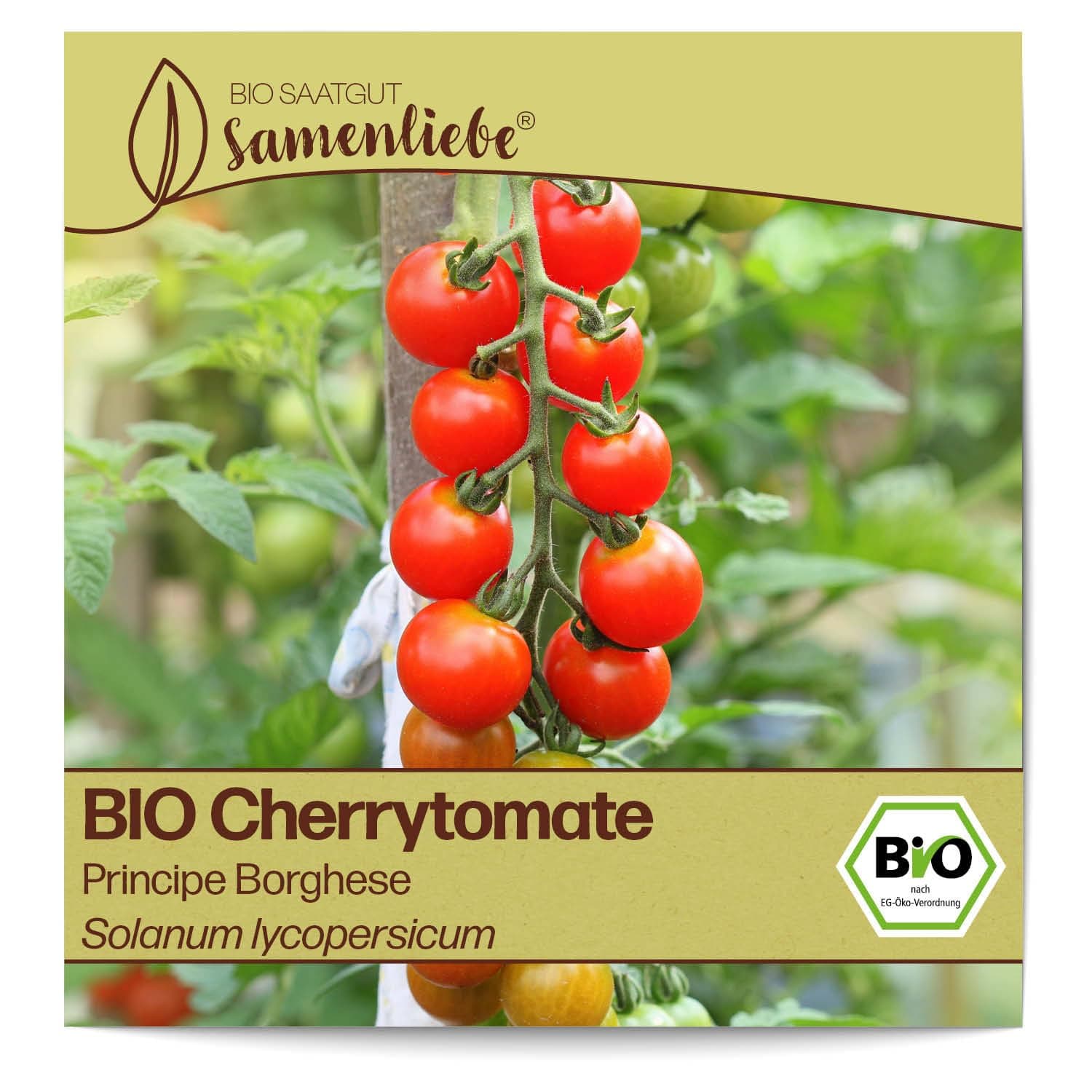 Samenliebe BIO Cherrytomaten Samen alte Sorte Principe Borghese süße Freilandtomate Tomate rot 10 Samen samenfestes Gemüse Saatgut für Gewächshaus Freiland und Balkon BIO Gemüsesamen Angebot bei HelloDeals