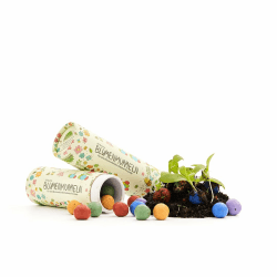 Die Stadtgärtner Blumenmurmeln das Original I 25 handgemachte & kunterbunte Samenbomben mit über 20 Arten von Blumen-Saatgut I Mitgebsel Kindergeburtstag I 100% ökologisch & min. 2 J. haltbar 1x 25 Blumenmurmeln Angebot bei HelloDeals