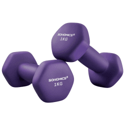 SONGMICS 2 Stück Hexagon Hanteln mit Neoprenbeschichtung für Krafttraining, Fitness, Zuhause 2 x 1 kg, Aschviolett Angebot bei HelloDeals