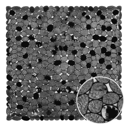 WELTRXE Duschmatte, Antirutschmatte aus Kunststoff für Kinder und Familie (Schwarz, Quadratisch-54×54 cm) Schwarz 54 x 54 cm (Quadratisch) Angebot bei HelloDeals