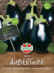 80667 Sperli Premium Aubergine Samen Galine | Frühe Sorte | Ertragreich | Aubergine Saatgut | Auberginen Samen Aubergine Galine Angebot bei HelloDeals