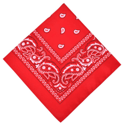 Aomig Bandana Damen Herren,Nickitücher Kopftuch Halstuch Männer, Unisex Tuch Bindetuch, Headwear Haar Schal Paisley Muster, Rot (55 x 55 cm) Angebot bei HelloDeals