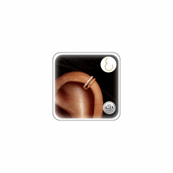 ESHIONER G23 Titan Conch Piercing Schmuck Helix Gold Silber Hoop Septum Rook Tragus Daith Piercing Hinged Segment Clicker 16G 8MM 10MM 12MM Nasenring Double Creolen Helix Knorpel Ohrringe für Damen Gold-CZ (16g)1.2*8mm Angebot bei HelloDeals
