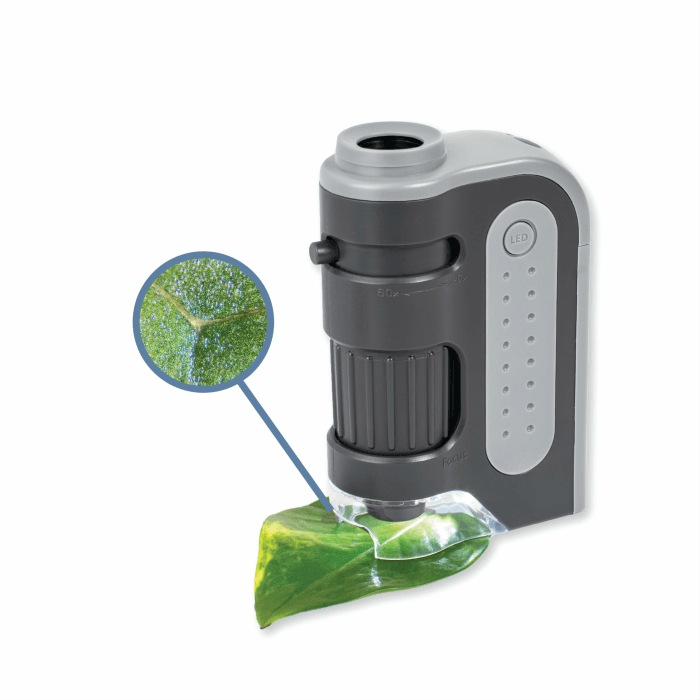 Carson MicroBrite Plus 60x–120x Taschenmikroskop - Allrounder für Schule, Studium, Grower, Wissenschaft & Lernen (MM-300) Angebot bei HelloDeals