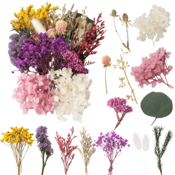 LAUMOE Trockenblumen, Getrocknete Blumen, Trockenblumen Zum Basteln Klein Set ​für Kunst DIY Harz Scrapbooking Handwerk Karten Machen (Stil 3) Angebot bei HelloDeals