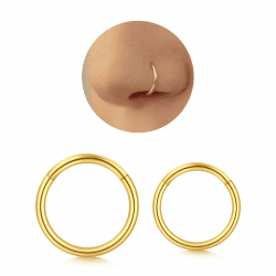 Longita Nasenpiercing Ring Gold, Silber,Schwarz 316L Edelstahl Clicker Nasenring - Nahtlose Präsenz Piercing für Septum Helix Tragus Conch Lippe Knorpel Segmentring Set Damen Herren Goldfarben 16G(1,2mm)-7mm Innendurchmesser Angebot bei HelloDeals