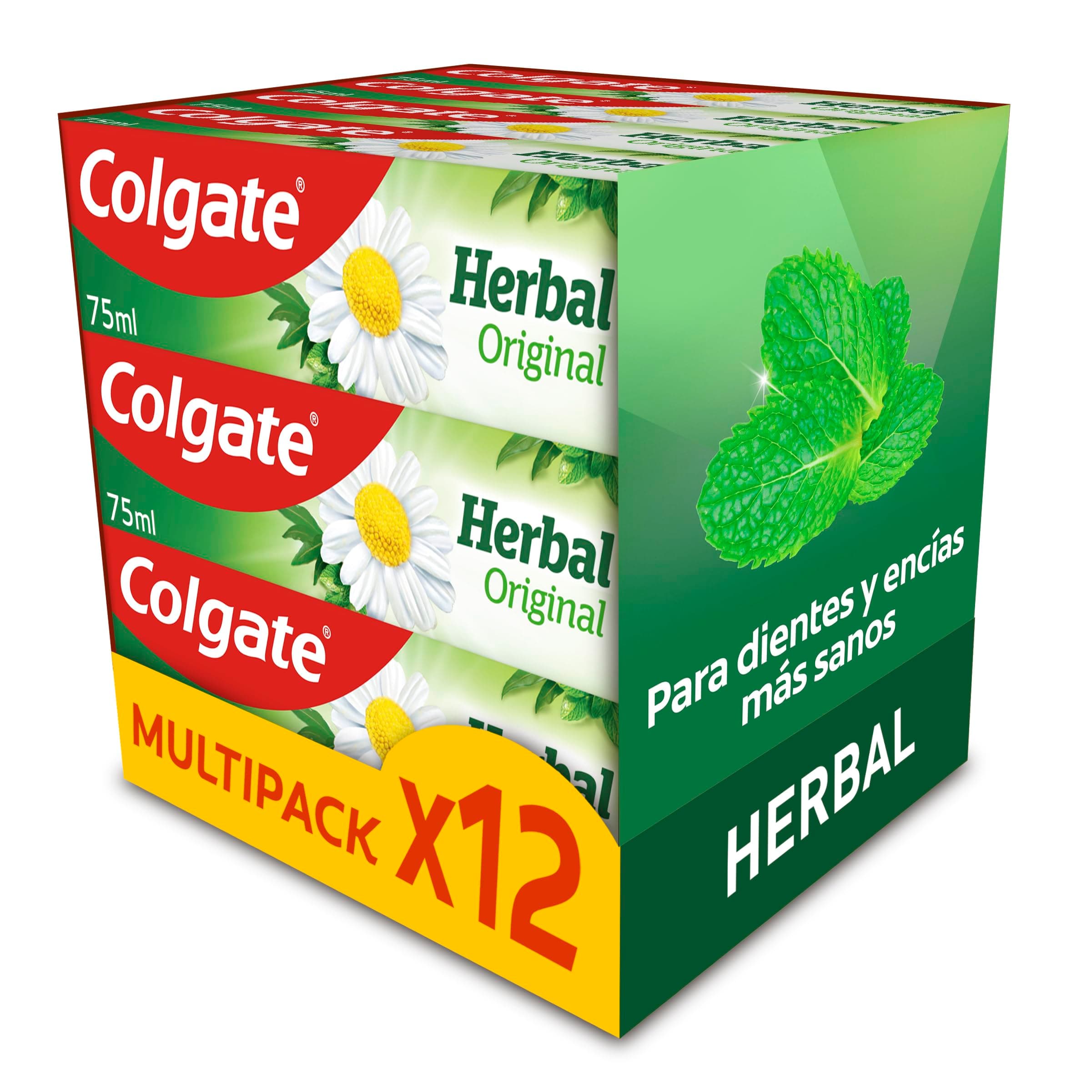 COLGATE Colgate Herbal Zahnpasta, 12 x 75 ml, Eukalyptus, fördert starke Zähne und gesundes Zahnfleisch dank Wirkstoffen und natürlichen Extrakten Angebot bei HelloDeals