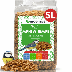 Gardemics Mehlwürmer getrocknet 5 Liter - 800g - Premium Insektenfutter für Vögel, Fische, Schildkröten, Nager, Igel, Reptilien, Vogelfutter Mehlwürmer getrocknet 800 g (1er Pack) Angebot bei HelloDeals
