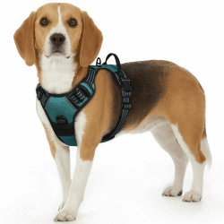 Eagloo Hundegeschirr Kleine Hunde, Anti Zug Hundegeschirr mit Reflexstreifen und Kontrolle, Verstellbar, Einstellbar und Langlebige Brustgeschirr Hund, Geeignet zum Gehen und Joggen, Dunkelgrün, S S (1er Pack) Dunkelgrün Angebot bei HelloDeals
