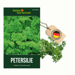 Petersilie Moskrul 2 (Mooskrause) Samen - Petroselinum crispum - Petersiliesamen - Kräutersamen - Saatgut für 600 Pflanzen 1 Petersilie Angebot bei HelloDeals
