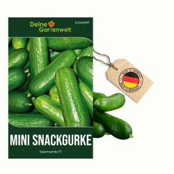 Mini Snackgurke Salamanda F1 Samen - Cucumis sativus - Gurkensamen - Gemüsesamen - Saatgut für 6-8 Pflanzen 1 Mini-Snackgurke Angebot bei HelloDeals
