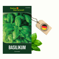 Basilikum Genoveser Samen - Ocimum basilicum - Basilikumsamen - Kräutersamen - Saatgut für 150 Pflanzen 1 Basilikum Angebot bei HelloDeals