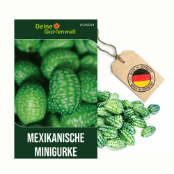 Mexikanische Minigurke Samen - Melothria scabra - -Gurkensamen - Minigurkensamen - Gemüsesamen - Saatgut für 10 Pflanzen 1 Mexikanische Minigurke Angebot bei HelloDeals