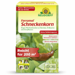 Neudorff Ferramol Schneckenkorn – Zuverlässiger und schneller Schneckenschutz - Extrem Regenfest. Keine toten Schnecken sichtbar, keine Schleimspuren. Schonende Rezeptur, 1 kg 1kg Angebot bei HelloDeals