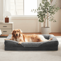 FURTIME Orthopädisches Hundebett Grosse Hunde, Memory Foam Hundekorb XL, Abnehmbar und Waschbar, rutschfeste Hundekörbchen, Hohem Rand Hundesofa, 107 x 81 x 19cm L 107 x B 81 x H 19 cm Grau Angebot bei HelloDeals