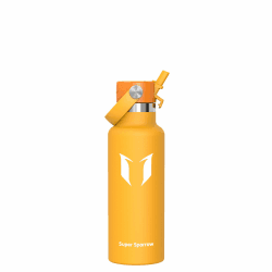 Super Sparrow Trinkflasche Edelstahl - Thermobecher - 350ml, 500ml, 750ml, 1L, 1.2L - FlipFlow Trinkflaschen mit Strohhalm - BPA-Frei Thermoskanne, Thermosflasche für Sport, Travel, Schule, Outdoor 500 ml C- Mango Angebot bei HelloDeals