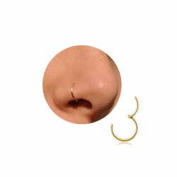 Nasenring Gold Silber dünn Nasenpiercing Ring Titan für Damen Herren 20G 18G 16G Septum Tragus Conch Ohrringe Lippenpiercing Nasen Piercing Ringe Schmuck 6mm/7mm/8mm/9mm/10mm 8mm Gold-20G Angebot bei HelloDeals
