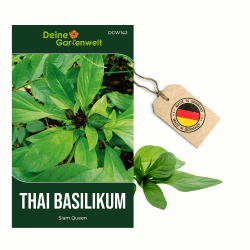 Thai Basilikum Siam Queen Samen - Ocimum basilicum - Basilikumsamen - Kräutersamen - Saatgut für 100 Pflanzen 1 Thai-Basilikum Angebot bei HelloDeals