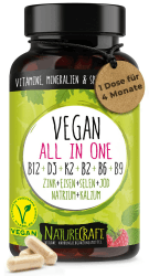 Vegan All-in-One - Vitamin B12+D3+K2+B2+B6+B9 Folsäure + Zink + Eisen + Selen + Natrium + Kalium + Jod - Komplex mit 120 Kapseln (4 Monats-Vorrat) 120 Stück (1er Pack) Angebot bei HelloDeals